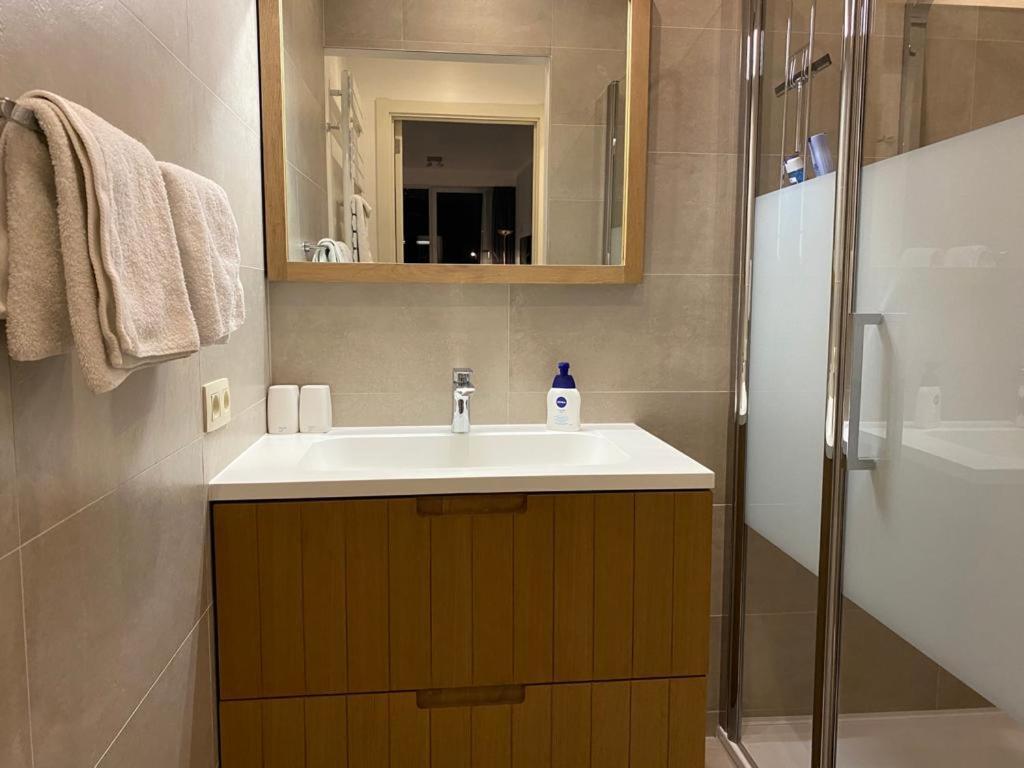 Spacious Studio Knokke-Heist Kültér fotó